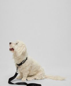 Hugo Boss Dog Accessories-Dog lead with jacquard logo detailing-hugoboss 2