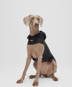 Hugo Boss Dog Accessories-Dog raincoat in waterproof fabric with contrast logo-hugo boss store 2