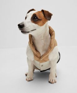 Hugo Boss Dog Accessories-Dog reversible puffer jacket-hugoboss 2