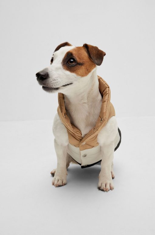 Hugo Boss Dog Accessories-Dog reversible puffer jacket-hugoboss - Image 2