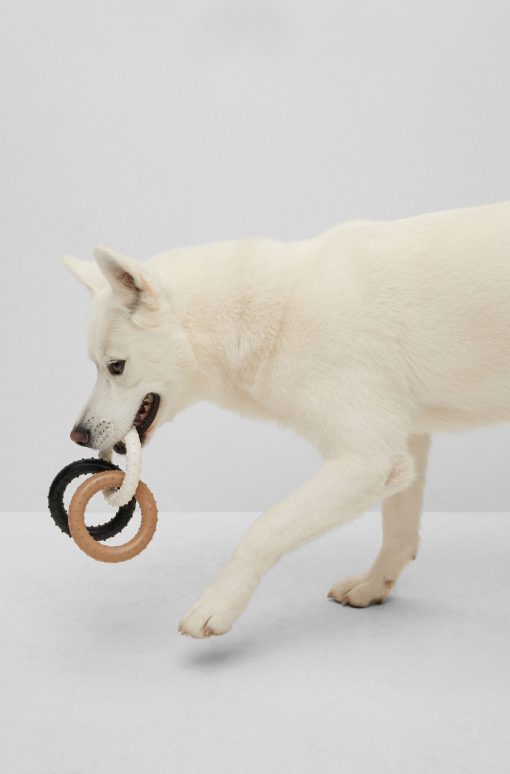 Hugo Boss Dog Accessories-Dog pull toy in signature colors-hugo boss store - Image 2