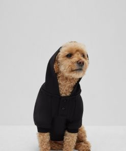 Hugo Boss Dog Accessories-Dog hoodie in cotton with Khaby Lame-inspired artwork-hugoboss 2