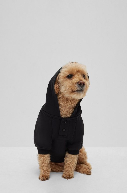 Hugo Boss Dog Accessories-Dog hoodie in cotton with Khaby Lame-inspired artwork-hugoboss - Image 2