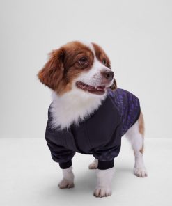 Hugo Boss Dog Accessories-Dog bomber jacket with degradé monograms-hugo boss store 2