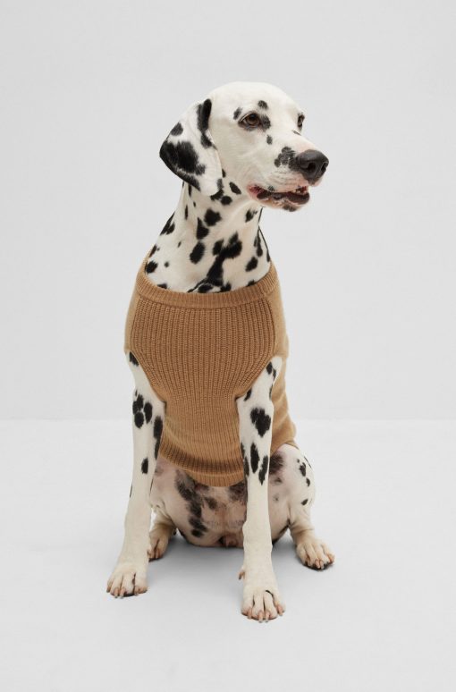 Hugo Boss Dog Accessories-Dog sweater in wool and cashmere-boss store - Image 2