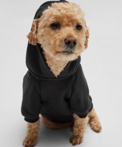 Hugo Boss Dog Accessories-Dog hoodie with iconic stripe logo-boss store 2