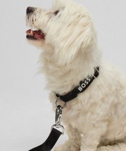 Hugo Boss Dog Accessories-Dog collar with jacquard logo detailing-boss hugo 2