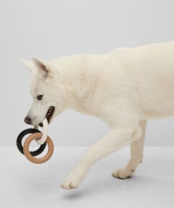 Hugo Boss Dog Accessories-Dog pull toy in signature colors-hugo boss store near me 2