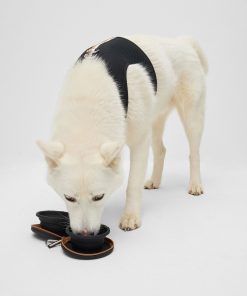 Hugo Boss Dog Accessories-Collapsible dog bowls in silicone with zip-up case-hugoboss 2