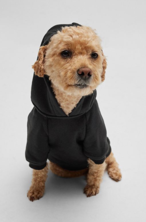 Hugo Boss Dog Accessories-Dog hoodie with iconic stripe logo-hugo boss store - Image 2