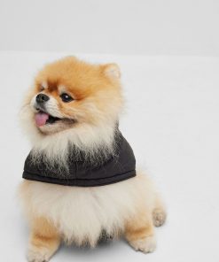 Hugo Boss Dog Accessories-Dog padded jacket with contrast logo-boss store near me 2