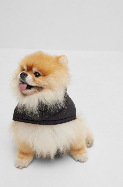 Hugo Boss Dog Accessories-Dog padded jacket with contrast logo-boss store near me - Image 2