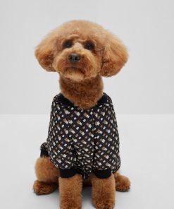 Hugo Boss Dog Accessories-Dog bomber jacket-hugoboss 2