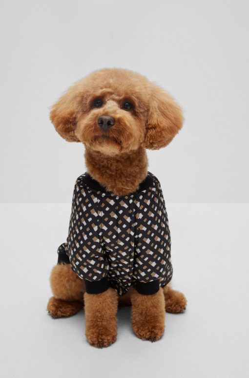 Hugo Boss Dog Accessories-Dog bomber jacket-hugo boss store - Image 2