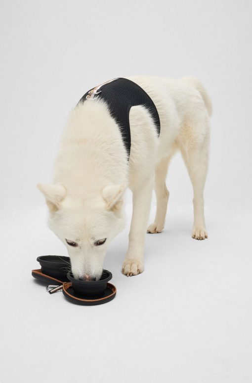 Hugo Boss Dog Accessories-Collapsible dog bowls in silicone with zip-up case-hugo by hugo boss - Image 2